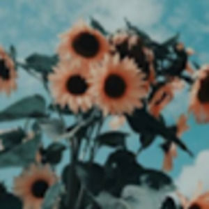 Meet your Posher, Paige